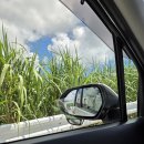 이리고등학교 | 오키나와 4박 5일 여행 후기, 소소한 주관적 느낌 / 언어, 사람, 음식, 날씨 등, 이 느낌은 뭐지?