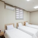 베니키아호텔플라워 이미지