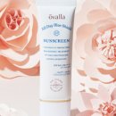 올데이허브 이미지