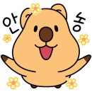 대전 키즈풀 토끼풀