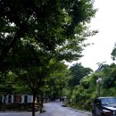 새밭야영장 이미지