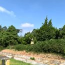 손불초용암분교장 이미지