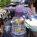 광덕아스콘(주) | 천안 광덕산 계곡 다슬기 물고기 잡기 [ 마루커피]