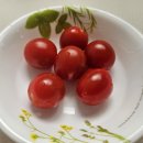 오티크 | 오티크 진주 방울토마토 후기!!