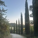 피렌체 렌트카 추천, Sicily by Car 공식 홈페이지 예약 후기(클룩 비교)