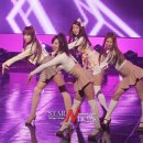 스텔라 이미지