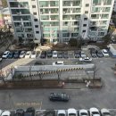 임광(아) 이미지