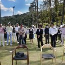 소나무부분정비 이미지