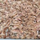 대박염소 이미지