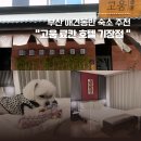 송이모텔 | 부산 애견동반 숙소 부산애견동반호텔 고움료칸호텔 기장점 바이 아늑 솔직 후기