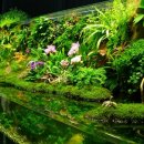 그린디자인 이미지