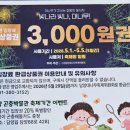 옥담이네 | 담양 죽녹원 여행 후기 | 죽순 시즌·입장료·야간개장 대나무축제 총정리 (+카페 옥담)