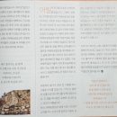 신안주씨 삼세적선비 | 신안주씨 삼세적선비