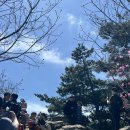 (주)정진팜 | 청계산 등산 초보 매봉코스 등산 후기 : 등산시간, 대중교통으로 가는 법