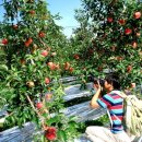 경빈농장 이미지