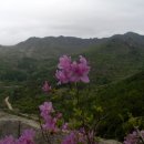 덕만농장 이미지