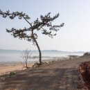 고사농장 이미지