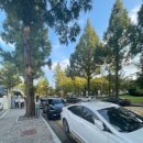 외동반림로248번길 이미지