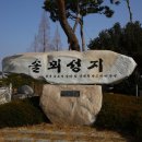 솔뫼성지 소나무 이미지