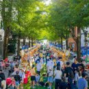 제42회 순천팔마문화제 & 주말의 광장 이미지