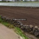 사계비전공인중개사사무소 네이버블로그