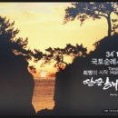 산초와 돈키호테 이미지