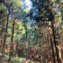 명륜진사갈비 무주점 이미지