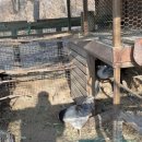 일자산자연공원(도시농업공원) 이미지