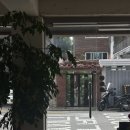 버키커피 | 연신내 카페 <버키커피> 후기