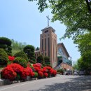 남부전원교회 이미지