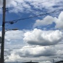 수지골남원추어탕 | <용인 수지 동천동 맛집> 몸보신으로 제격인 "수지골 남원 추어탕" (서이추환영)