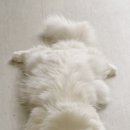 카리스마 이미지