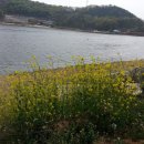 과림 낚시터 이미지