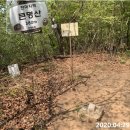 마진교 - 493 | 마진교