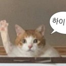 참새미골 이미지