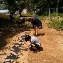 에코팜농장 이미지