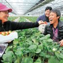 김순덕 농장 이미지