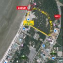 춘장대솔내음캠핑장 이미지