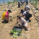 인지농장 이미지