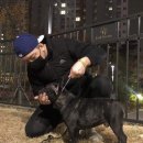 넥서스켄넬 이미지