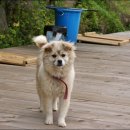 수동그린낚시터 이미지