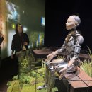 엑스포세탁 이미지