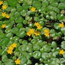 송정섭농장 이미지