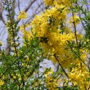 어느봄날 이미지