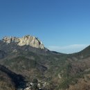 중앙카서비스 | 대가족 1박2일 속초 여행기 : 설악산 케이블카 및 속초 관광수산시장 솔직 후기까지