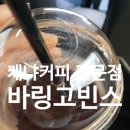 바링고빈스 이미지