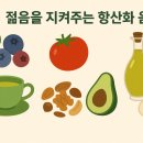 노화방지를 위한 근력운동,스트레칭 이미지