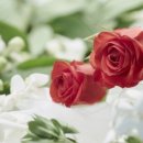 이쁜이PC 이미지