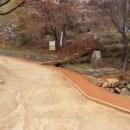 백양산임도 이미지