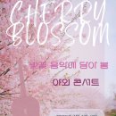 벚꽃 음악에 담아 봄 - 야외콘서트 개최 이미지
